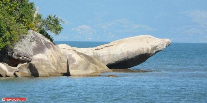 Apto Lindo 2 Dor Piscina Ar Internet 103 A Caraguatatuba Exteriér fotografie
